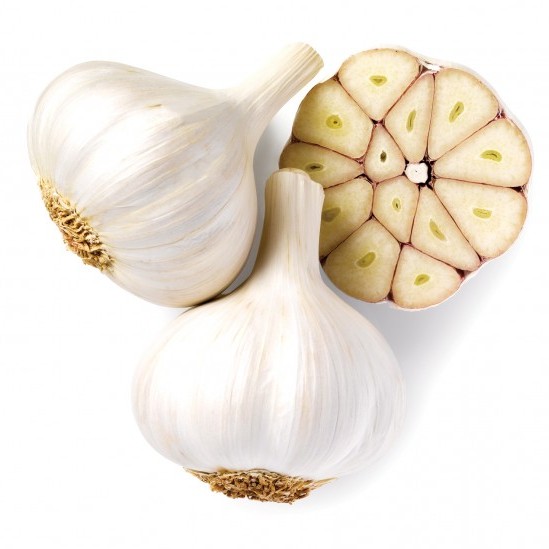 German white garlic